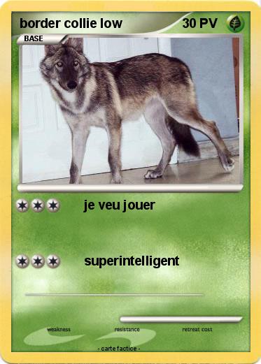 Pokemon border collie low