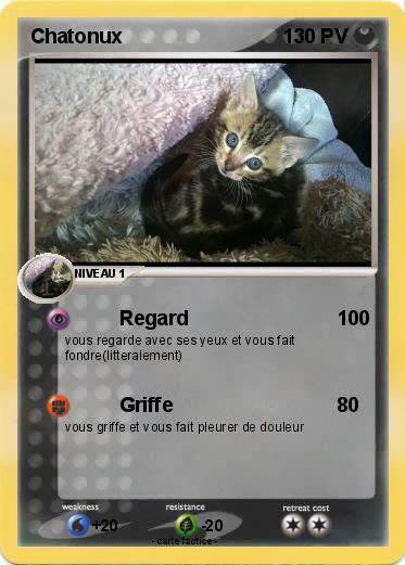 Pokemon Chatonux