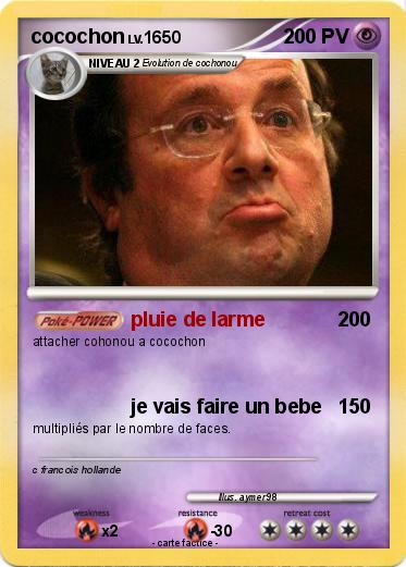 Pokemon cocochon
