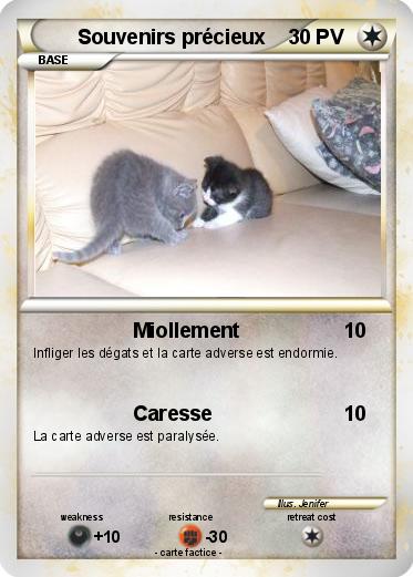 Pokemon Souvenirs précieux