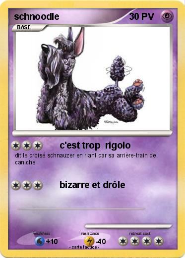 Pokemon schnoodle