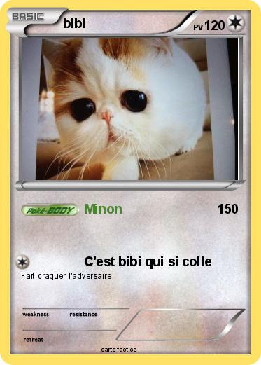 Pokemon bibi