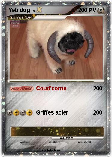 Pokemon Yeti dog
