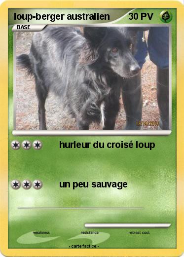 Pokemon loup-berger australien