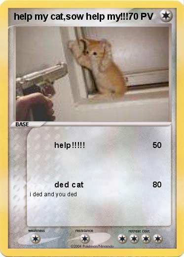 Pokemon help my cat,sow help my!!!