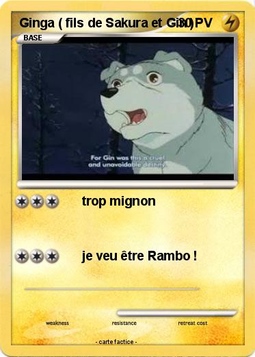 Pokemon Ginga ( fils de Sakura et Gin )