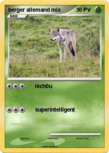 Pokemon berger allemand mix