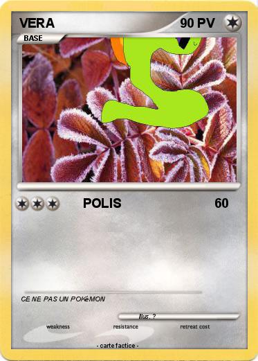 Pokemon VERA