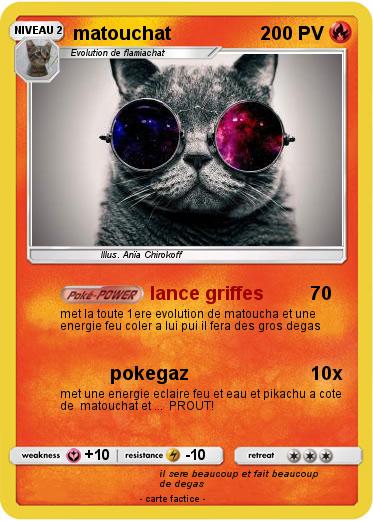 Pokemon matouchat