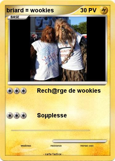 Pokemon briard = wookies