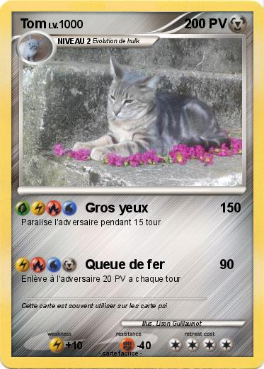 Pokemon Tom