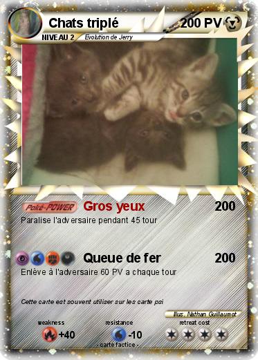 Pokemon Chats triplé