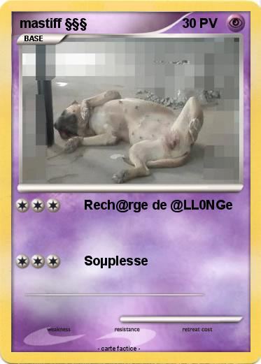 Pokemon mastiff §§§