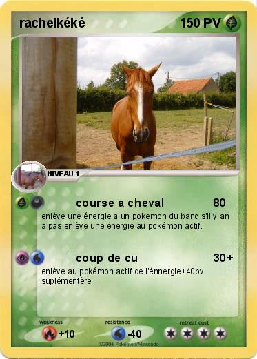 Pokemon rachelkéké