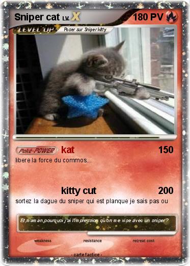 Pokemon Sniper cat