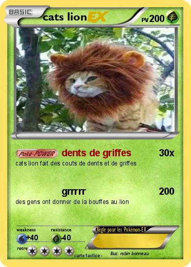 Pokemon cats lion