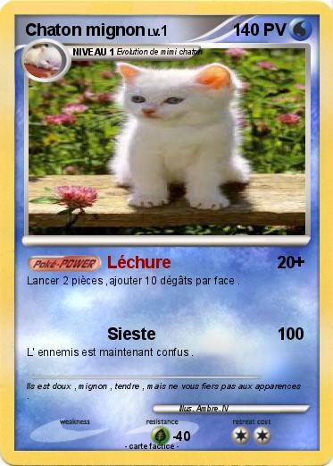 Pokemon Chaton mignon