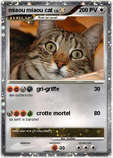 Pokemon miaou miaou cat
