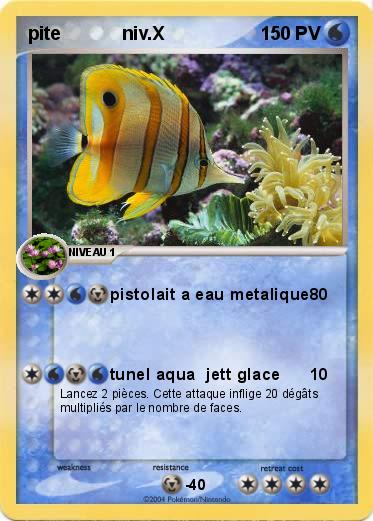 Pokemon pite            niv.X