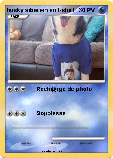 Pokemon husky siberien en t-shirt