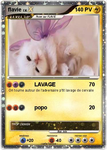 Pokemon flavie