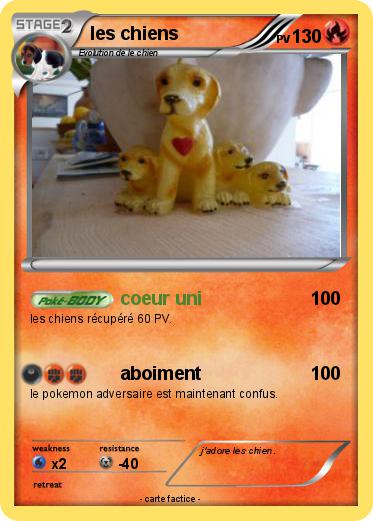 Pokemon les chiens