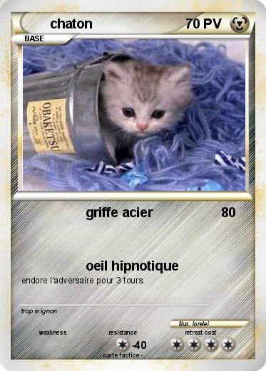 Pokemon chaton