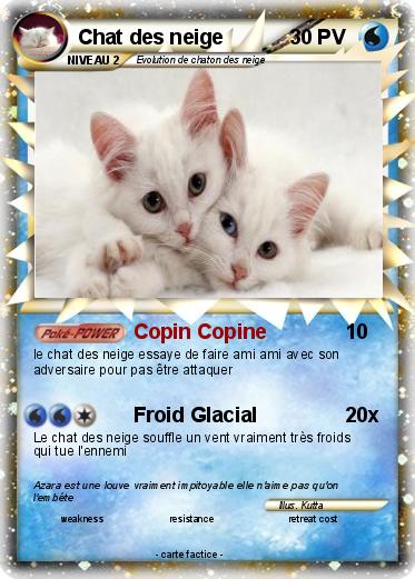 Pokemon Chat des neige