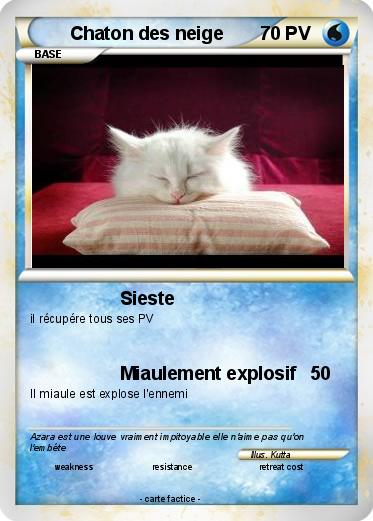 Pokemon Chaton des neige