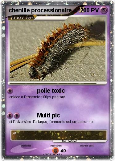 Pokemon chenille processionaire