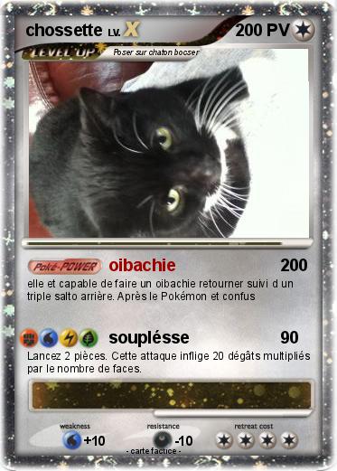Pokemon chossette
