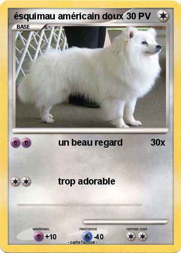 Pokemon ésquimau américain doux