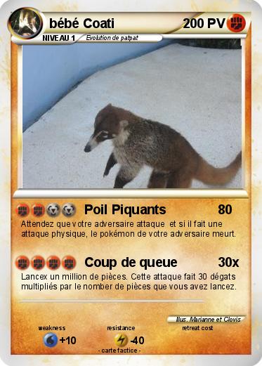 Pokemon bébé Coati