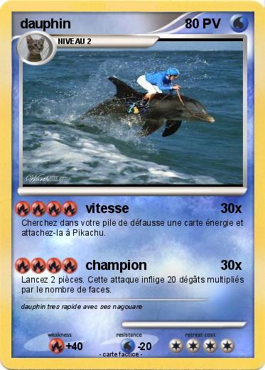 Pokemon dauphin