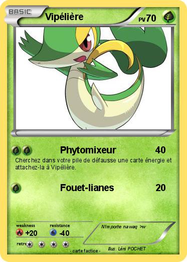 Pokemon Vipélière