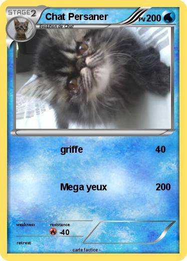 Pokemon Chat Persaner