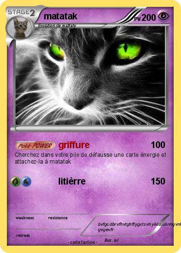 Pokemon matatak