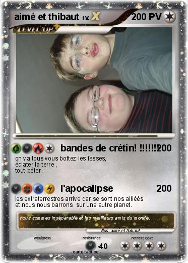 Pokemon aimé et thibaut