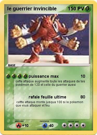 Pokemon le guerrier invincible 