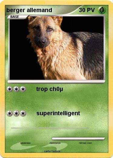Pokemon berger allemand