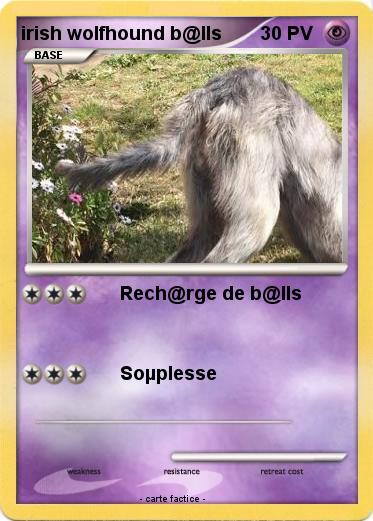 Pokemon irish wolfhound b@lls