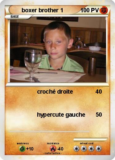 Pokemon boxer brother 1