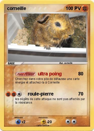 Pokemon corneille
