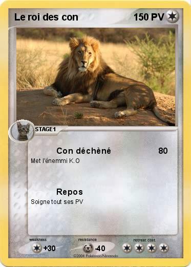 Pokemon Le roi des con