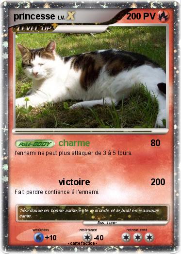 Pokemon princesse