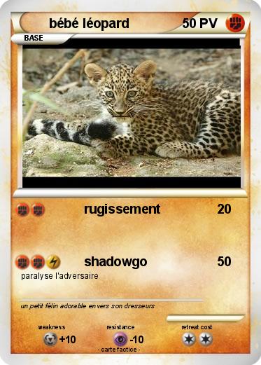 Pokemon bébé léopard