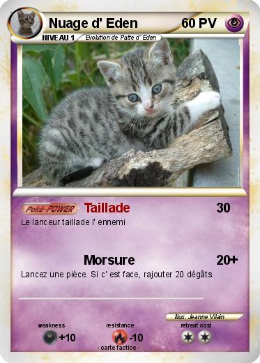 Pokemon Nuage d' Eden