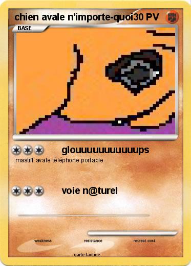 Pokemon chien avale n'importe-quoi