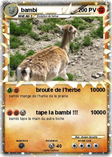 Pokemon bambi