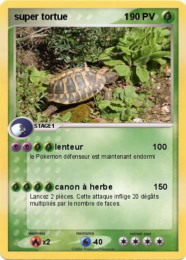 Pokemon super tortue                      1 